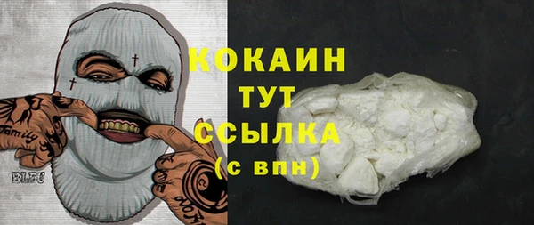 прущие грибы Балахна