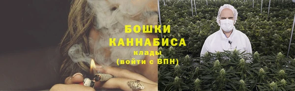 ГАЛЛЮЦИНОГЕННЫЕ ГРИБЫ Медвежьегорск