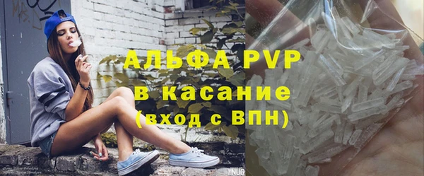 прущие грибы Балахна
