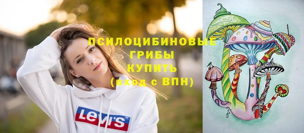 прущие грибы Балахна