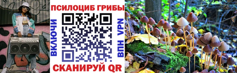 Галлюциногенные грибы мицелий Лабытнанги
